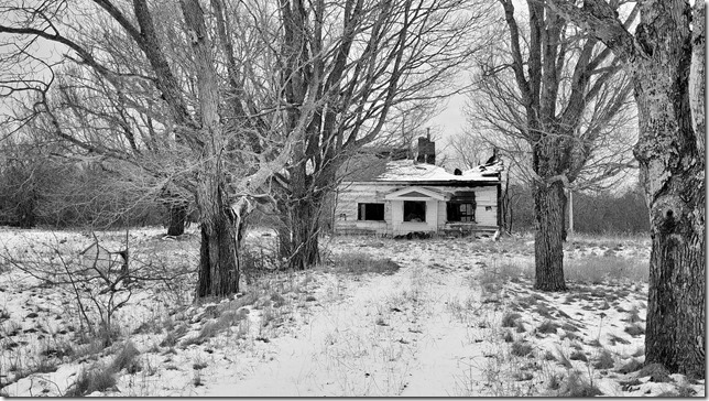 Nova Scotia,Canada,Atlantic Canada,Maritimes,old house,trees,abandoned