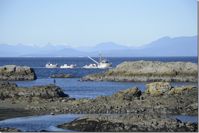 Georgia Strait,ocean,fish boat,spring