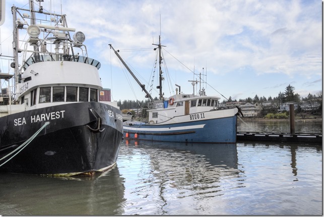 Comox,fisherman's wharf,marina,fish boat,winter
