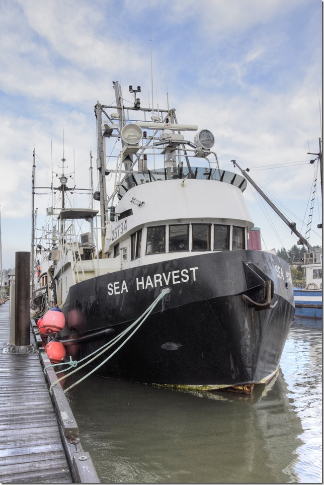 Comox,fisherman's wharf,marina,fish boat,winter