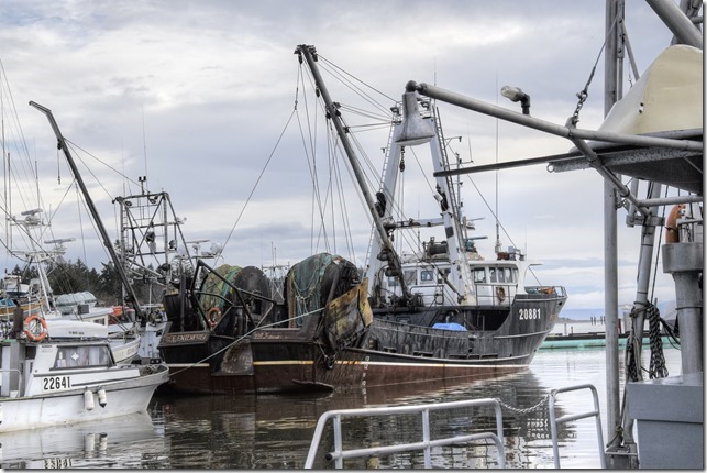 Comox,fisherman's wharf,marina,fish boat,spring