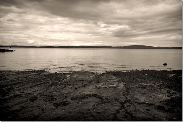 Vancouver Island,ocean,beach,Georgia Strait,British Columbia,nature,black and white