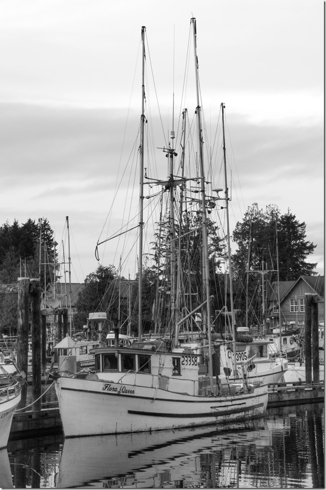 Ucluelet,ships,fishing boats,marina