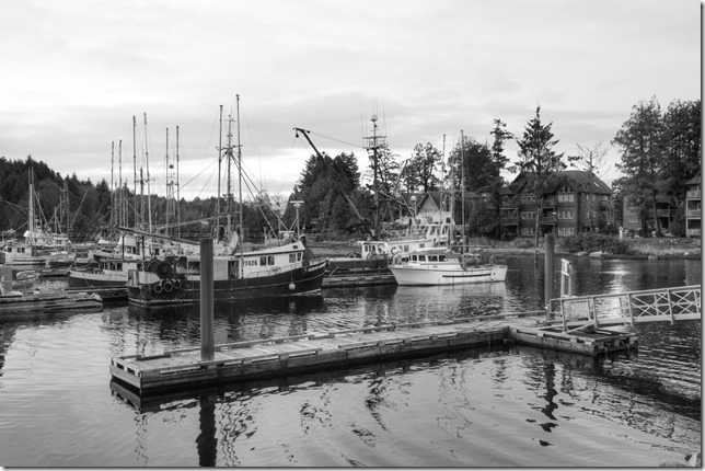 The fishing boats Ocean dancer, Deltaga, and Royal Viking in Ucluelet