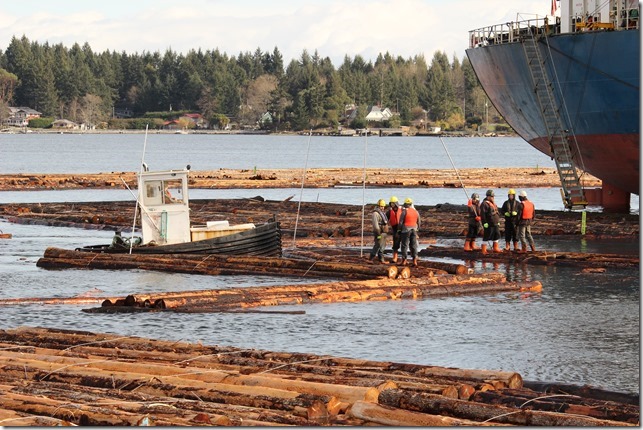 stevedores,ships,logs,Nanaimo Assembly Wharf,Nanaimo,log boom,dozer boat