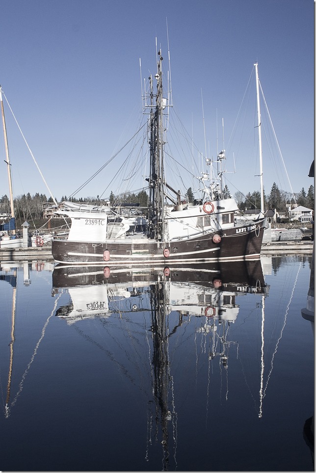 Comox,fisherman's wharf,marina,fish boat,winter