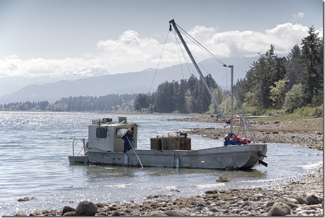 One of the many oyster boats that work in Fanny Bay