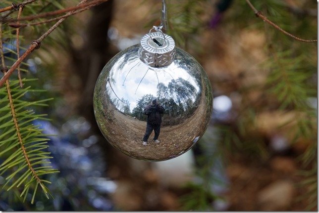 selfie,self-portrait,nature,trees,reflections