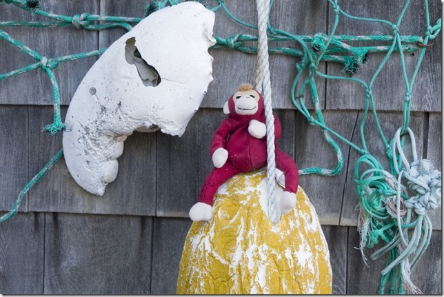 Nova Scotia,Canada,Atlantic Canada,Maritimes,fish boats,ocean,wharf,dock,pier,Railway Monkey