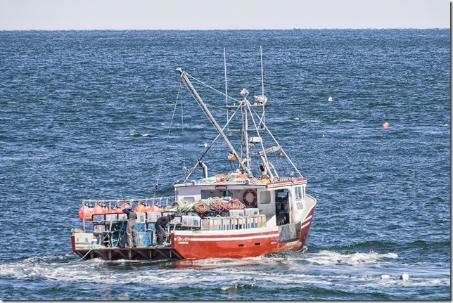 Miss Addie laying lobster pots off Broad Cove, near Digby