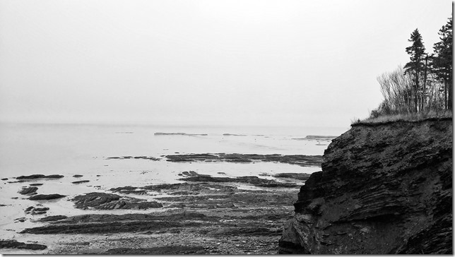 Walton Harbour – looking north onto the Minas Basin