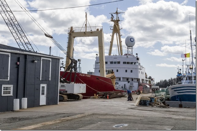 Polar Prince in Lunenburg