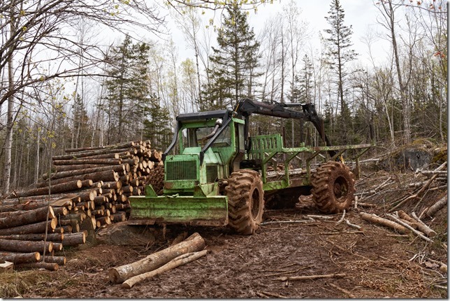 A little green forwarder at work near Port George