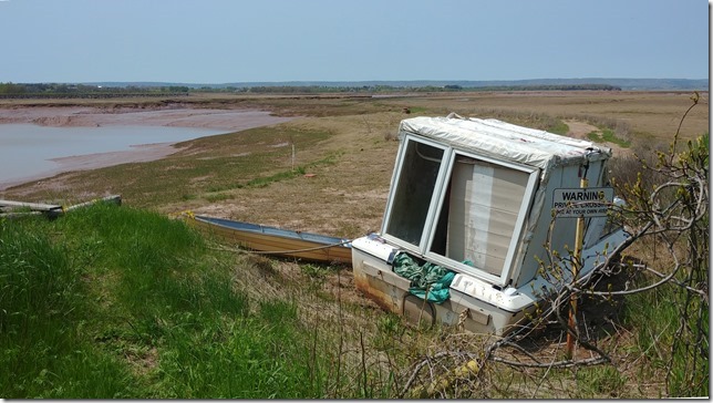 Looking out onto the marshes of the Cornwallis River estuary in Wolfville