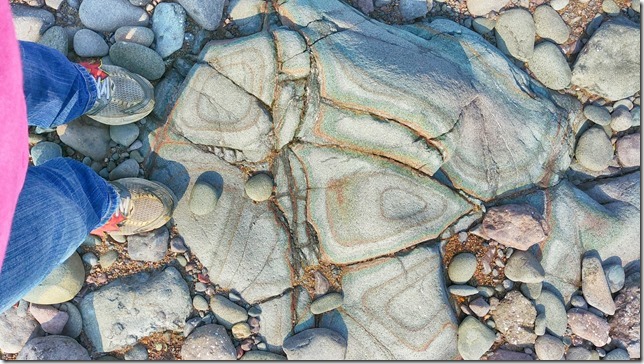 Natural artistry on the beach