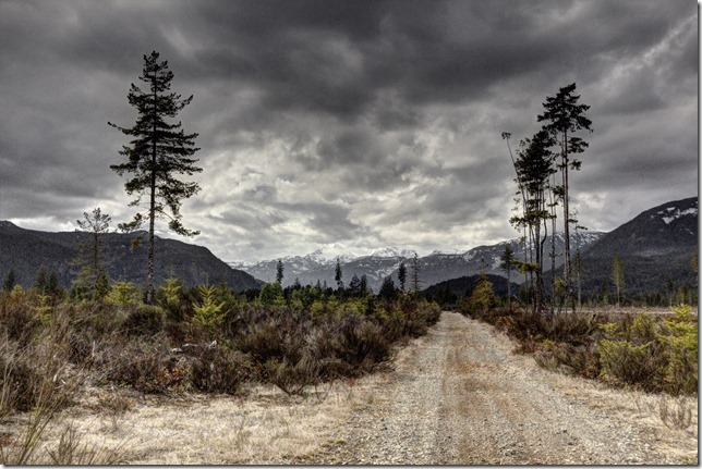 nature,outdoors,Vancouver Island,British Columbia,mountains,logging road,Comox Glacier
