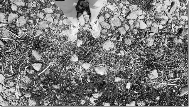 A walk along the high tide zone at Margaretsville