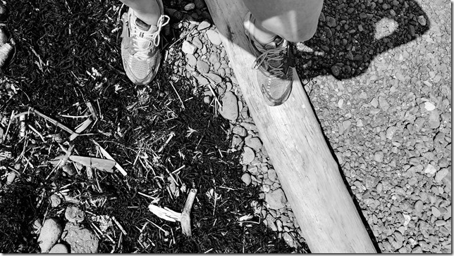 20190703_141518_HDR_dffp_