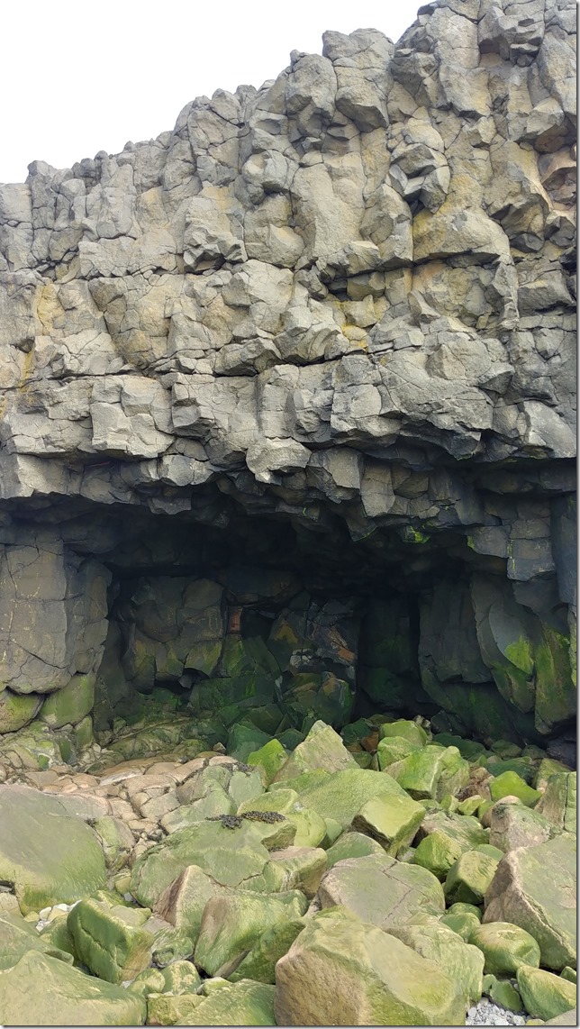 One of the large sea caves on the shore of the Bay of Fundy at Halls Harbour