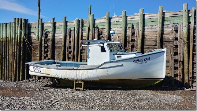 Nova Scotia,Canada,Atlantic Canada,Bay of Fundy,fish boats,ocean,wharf,dock,pier,ocean