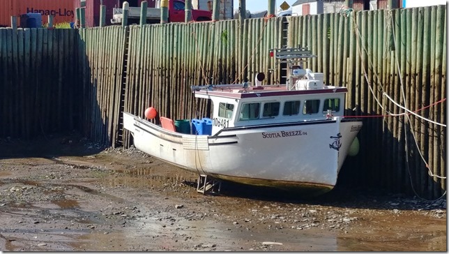 The fishing boat Scotia Breeze 04 in Parkers Cove at low tide