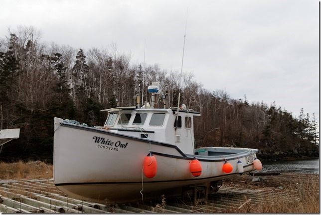 The fishing boat White Owl in Delaps Cove