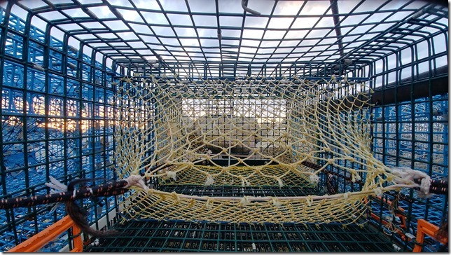 A look inside a lobster trap &ndash; one of many in Margaretsville