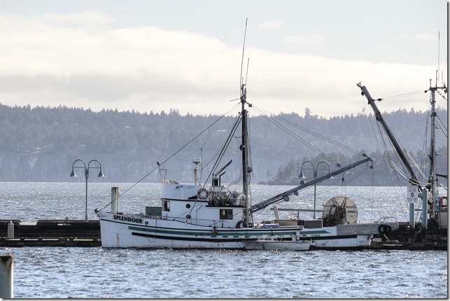 The fishing boat Splendour in Nanaimo