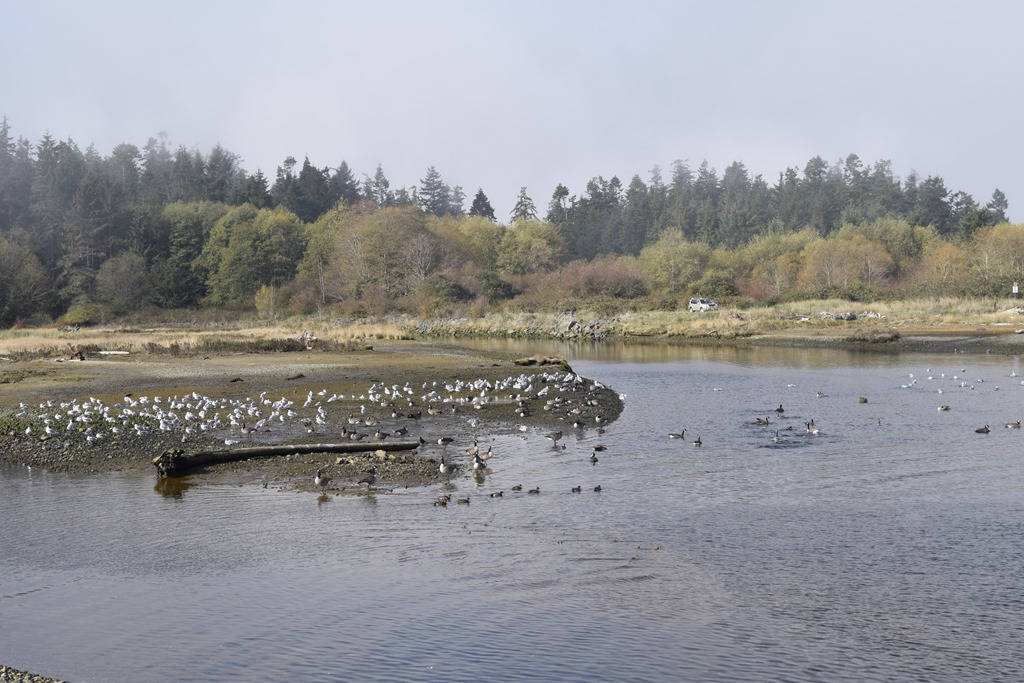 French Creek fishboats