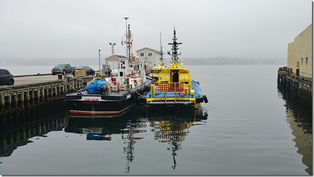 20190504_161831_HDR 20190504_161831_HDR