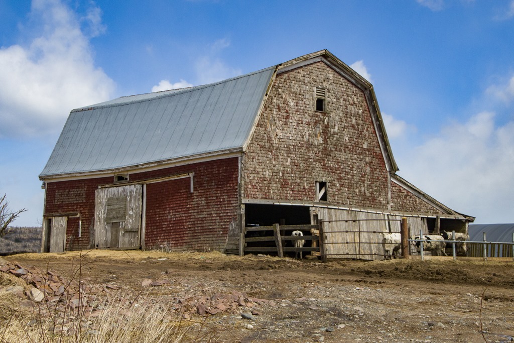 The barns of Nova Scotia