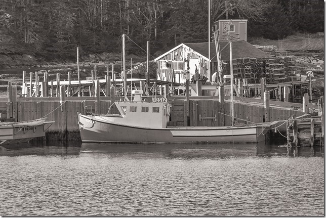 IMG_0512_MURIEL D._DxO