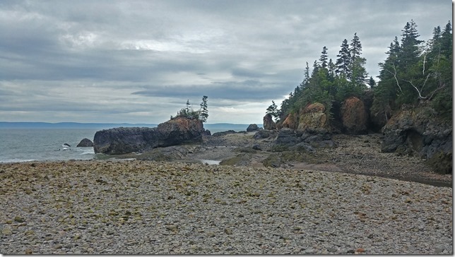 20200726_141520_HDR_ps