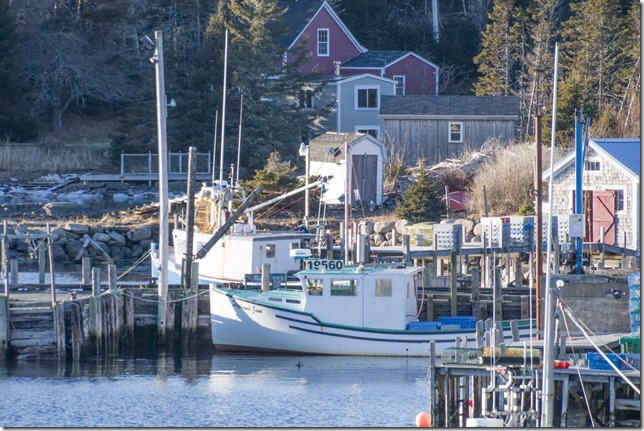 IMG_0510_stephanie_jane_DxO_ps