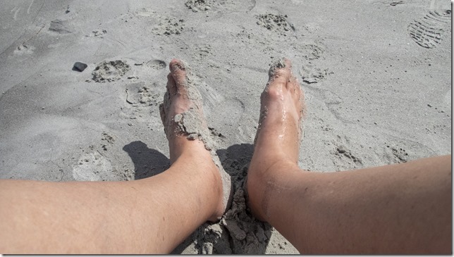 OLYMPUS DIGITAL CAMERA OLYMPUS DIGITAL CAMERA