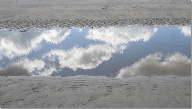 OLYMPUS DIGITAL CAMERA OLYMPUS DIGITAL CAMERA