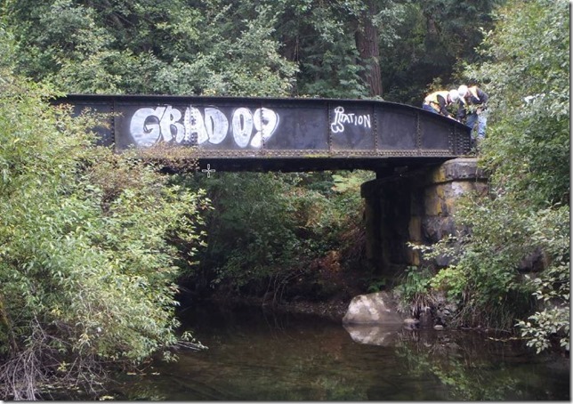 28.20 Shawnigan Lake Tributary