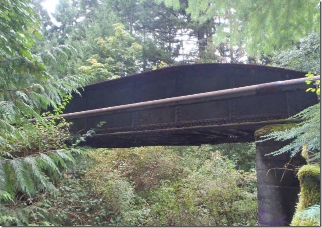 28.40 Shawnigan Lake Tributary