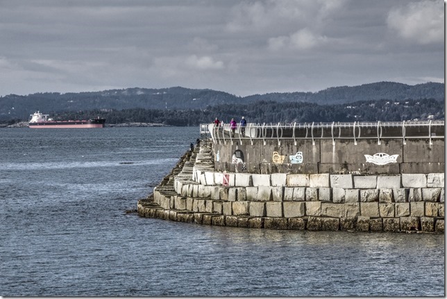 IMG_6569_ps_Optimizer