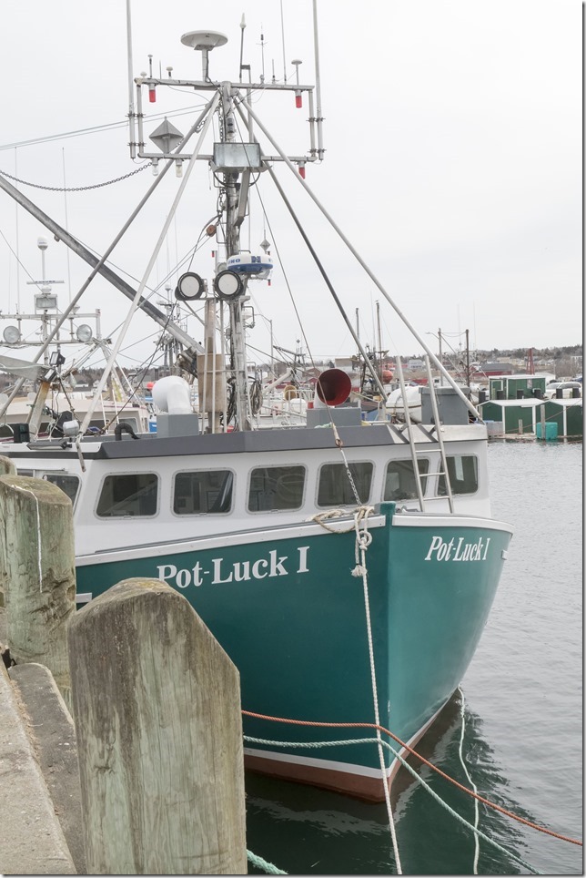 IMG_1447_openWith_ps