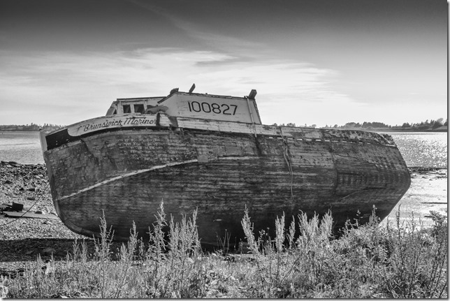 IMG_1676