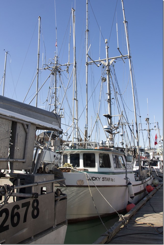 IMG_7008_ps