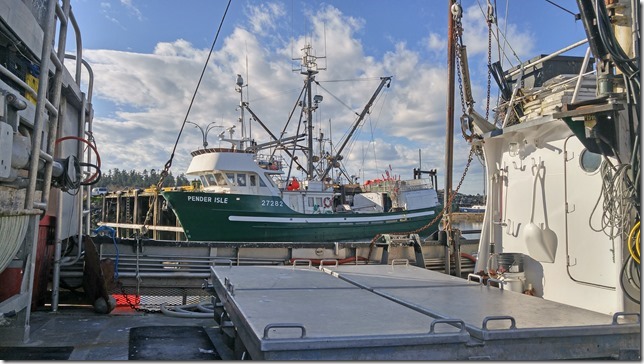 20180319_170838_HDR_ps