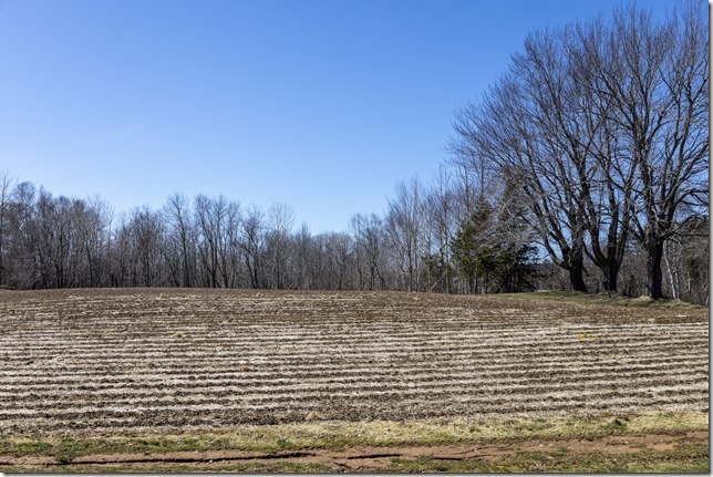 IMG_0800_ps IMG_0800_ps