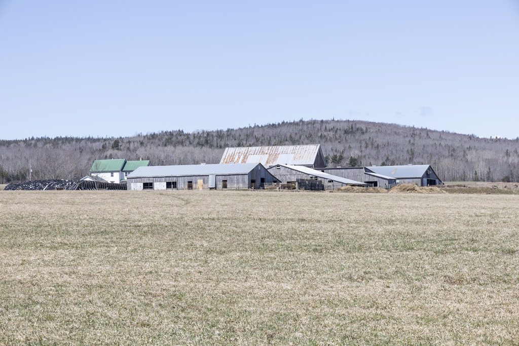 Farms Of Nova Scotia