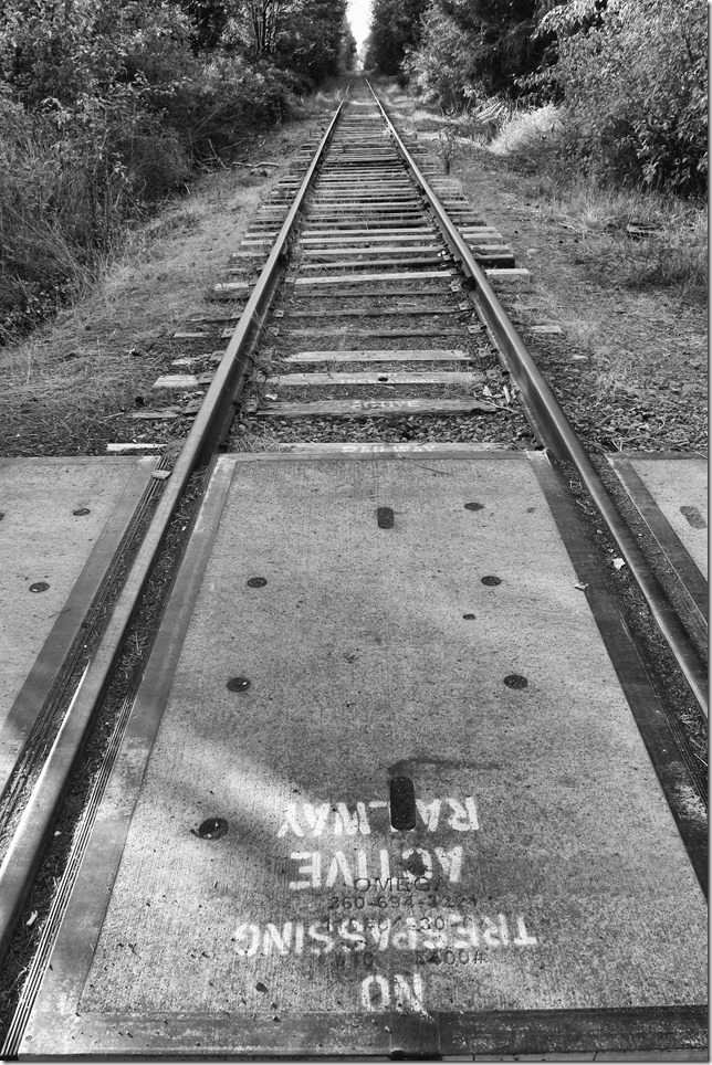 _MG_7774_ps _MG_7774_ps