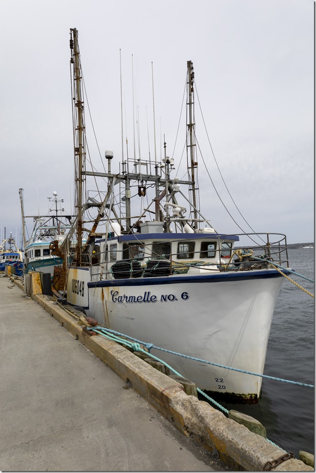 IMG_8889_ps