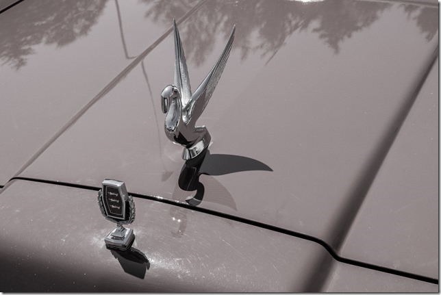 122A0262_ps 122A0262_ps