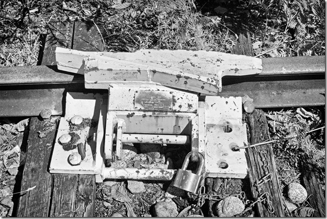 _MG_8162_sfx _MG_8162_sfx