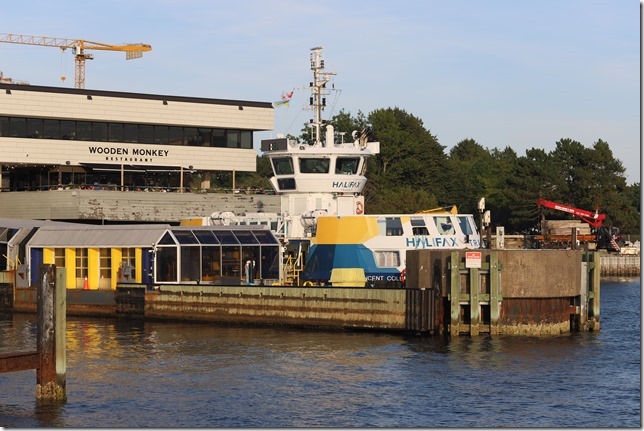 IMG_0005_s1 IMG_0005_s1